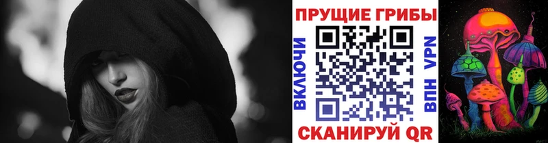 наркошоп Заводоуковск Галлюциногенные грибы Psilocybe
